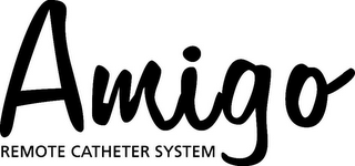 AMIGO REMOTE CATHETER SYSTEM logo