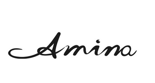 AMINA logo