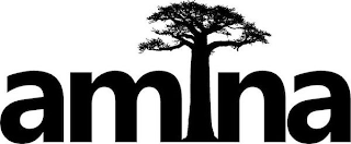 AMINA logo