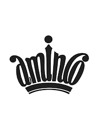 AMINCO logo
