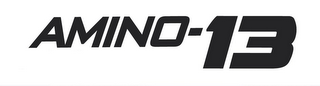 AMINO-13 logo