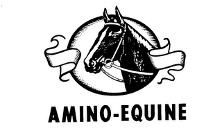 AMINO-EQUINE logo