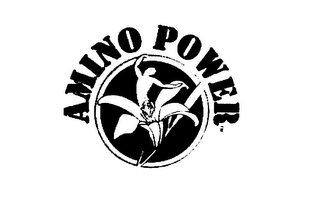 AMINO POWER logo