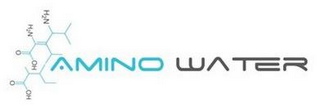 AMINO WATER H2N H2N O OH O OH logo
