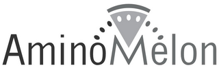 AMINOMELON logo