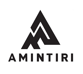 AMINTIRI logo