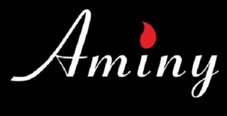 AMINY logo