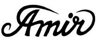 AMIR logo