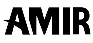 AMIR logo