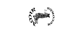 AMIR RECORDS INC logo