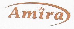 AMIRA logo