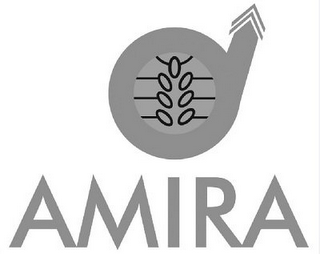 AMIRA logo
