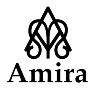 AMIRA logo
