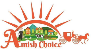 AMISH CHOICE logo