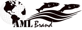 AML BRAND logo