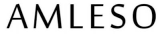 AMLESO logo