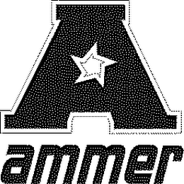 AMMER logo