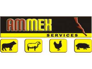 AMMEX SERVICES logo