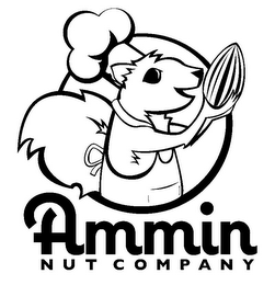 AMMIN NUT COMPANY logo