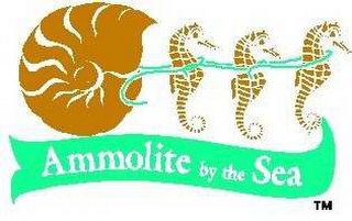 AMMOLITE BY THE SEA logo