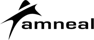 AMNEAL logo