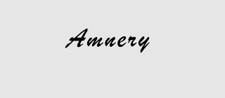 AMNERY logo