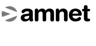 AMNET logo