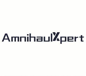 AMNIHAULXPERT logo