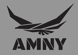 AMNY logo