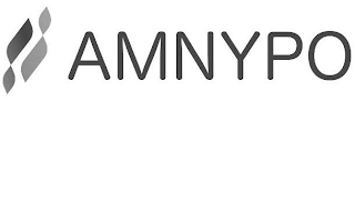 AMNYPO logo