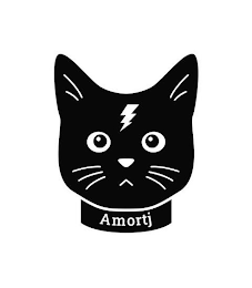 AMORTJ logo