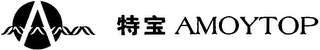 AMOYTOP logo