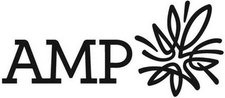 AMP logo