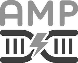 AMP logo