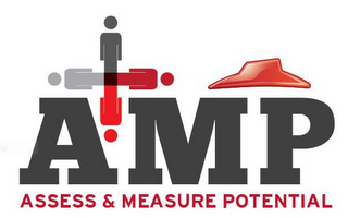 AMP ASSESS & MEASURE POTENTIAL logo