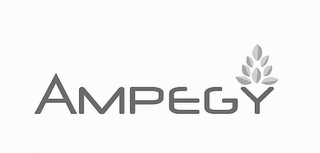AMPEGY logo