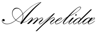 AMPELIDAE logo