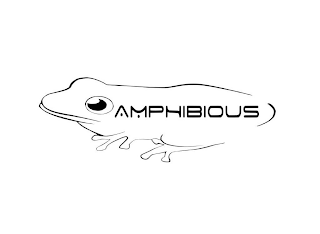 AMPHIBIOUS logo