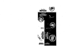 AMPHORA DE FRENCH BRANDY IMPORTED logo