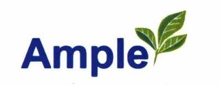 AMPLE logo