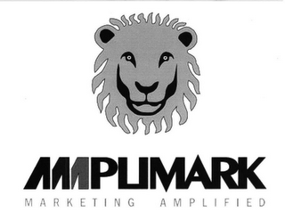 AMPLIMARK MARKETING AMPLIFIED logo