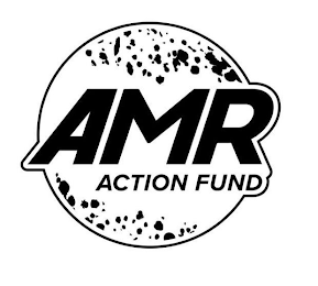 AMR ACTION FUND logo