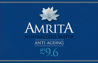 AMRITA MINERALIZED WATER ANTI AGEING PH 9.6 logo