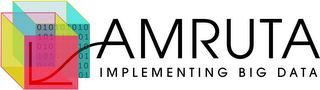 AMRUTA IMPLEMENTING BIG DATA logo