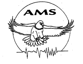 AMS logo