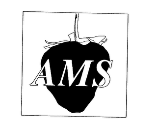 AMS logo
