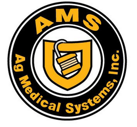 AMS AG MEDICAL SYSTEMS, INC. logo