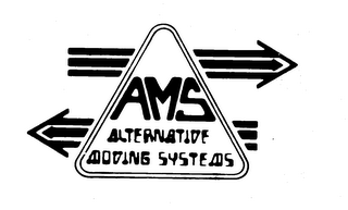 AMS ALTERNATIVE MOVING SYSTEMS logo