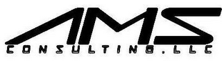 AMS CONSULTING . LLC logo