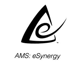 AMS: ESYNERGY logo